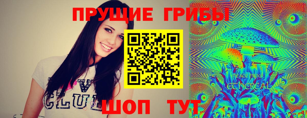 Псилоцибиновые грибы GOLDEN TEACHER Екатеринбург